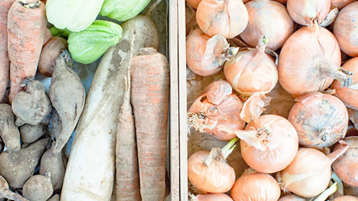 写真入門・第2回｜「露出とホワイトバランス」を上手に活用して、印象 