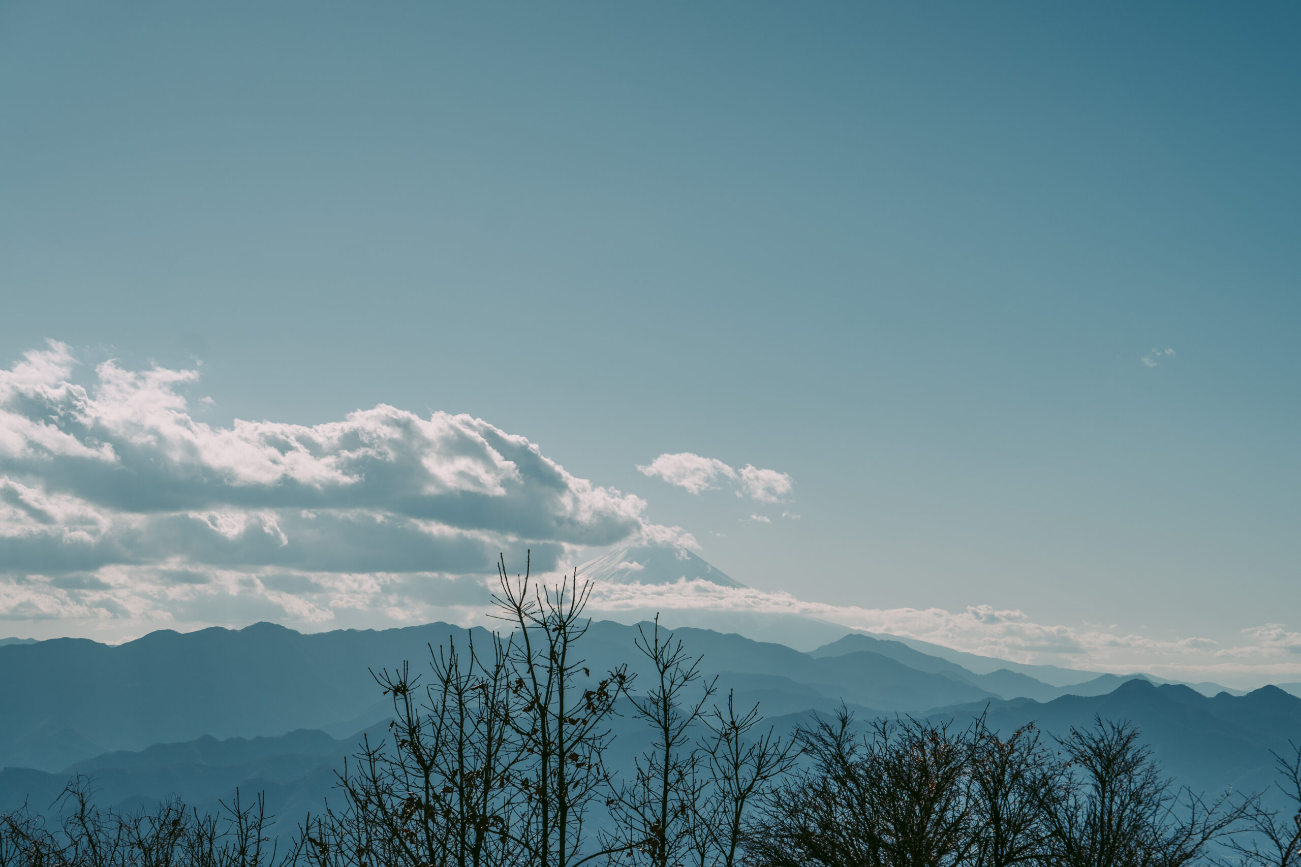 20240127-DSC08861